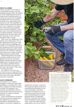 Preview of catalogue Bunnings Catalogue October from shop Bunnings Warehouse valid 01/10/2025 | Page: 25