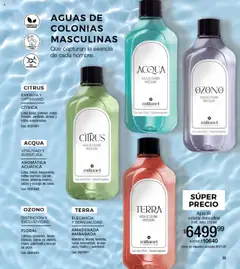 Vista previa del folleto de la tienda Millanel válido desde el 20/10/2025 | Página: 55