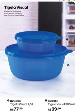 Pré-Visualização do folheto "Catálogo" da loja Tupperware válido a partir de 01/12/2025 | Página: 31