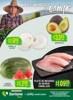Vista previa las ofertas de la tienda Soriana - Soriana Martes y Miércoles del Campo Súper: Nuevo León, Ciudad Victoria y Tampico desde el 10/03/2026 