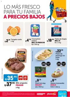 Vista previa de Aviso Fds Frescos N3 de la tienda Plaza Vea válido desde 18/07/2025