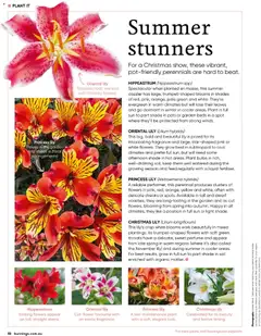 Preview of catalogue Bunnings Catalogue December from shop Bunnings Warehouse valid 01/12/2025 | Page: 52