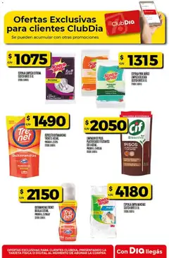 Vista previa del folleto de la tienda Dia válido desde el 10/12/2025 | Página: 49