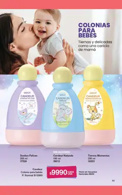 Vista previa del folleto de la tienda Gigot válido desde el 01/01/2026 | Página: 63