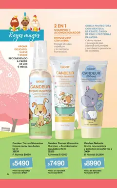 Vista previa del folleto de la tienda Gigot válido desde el 01/01/2026 | Página: 62