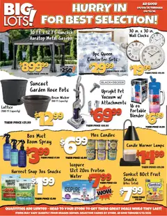 Ad Preview of Big Lots Big Lots Weekly Ad from 04/09/2026