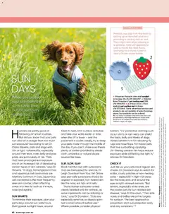 Preview of catalogue Bunnings Catalogue November from shop Bunnings Warehouse valid 01/11/2025 | Page: 82