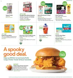 Ad Preview of Publix Leaflet from 10/29/2025 | Page: 17