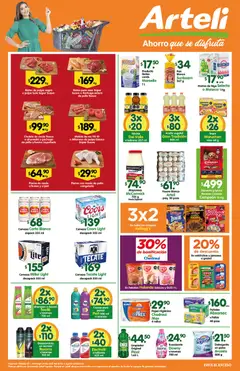 Vista previa las ofertas de la tienda Arteli - Arteli folleto Tuxpan desde el 25/04/2026 