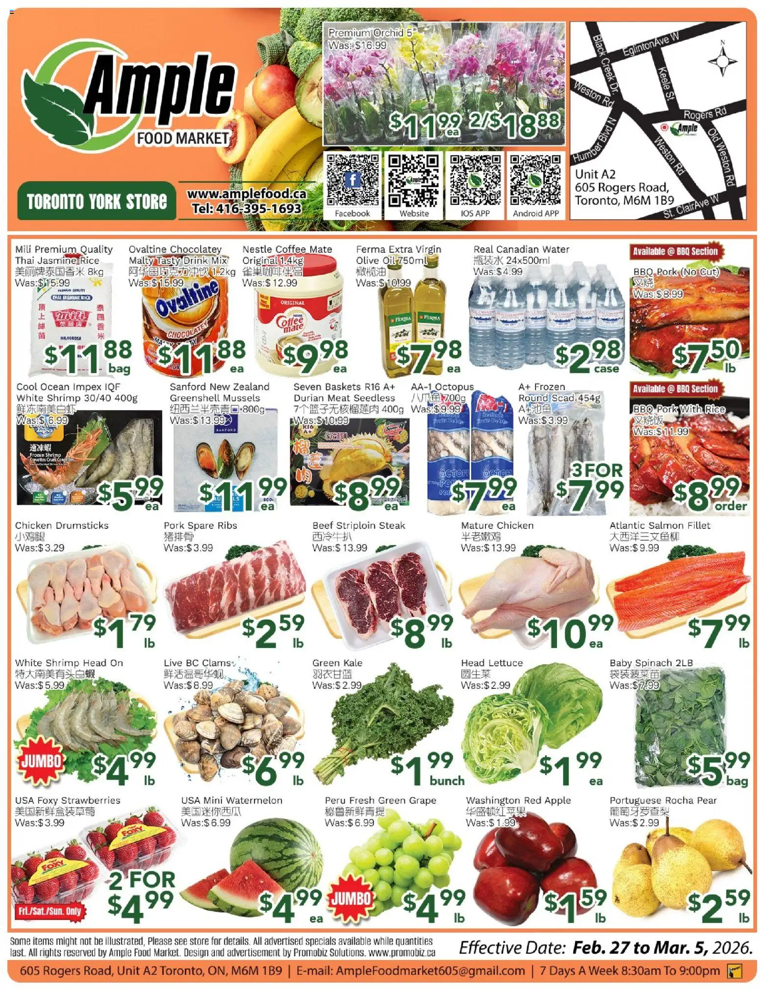 Preview of leaflet Ample Food Market weekly flyer Toronto York from shop Ample Food Market is valid from Feb 27, 2026 - Steak, Strawberries, Orchid, Oil, Beef, Olive oil, Spinach, Frozen shrimp