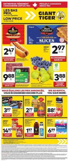 Un aperçu du dépliant Circulaire du magasin Giant Tiger est valide à partir 27 août 2025
