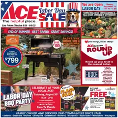 Ad Preview of ACE Hardware Local Ad from 08/26/2025