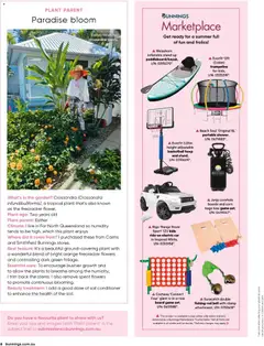 Preview of catalogue Bunnings Catalogue December from shop Bunnings Warehouse valid 01/12/2025 | Page: 6