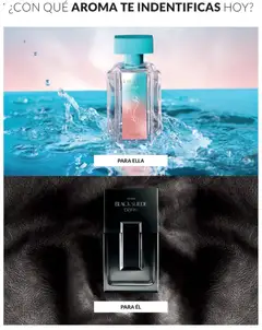 Vista previa de Ciclo 18 de la tienda Avon válido desde 15/11/2025 | Página : 87