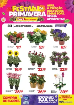 Pré-Visualização do folheto "Ofertas Festival da Primavera" da loja Fort Atacadista válido a partir de 19/09/2025