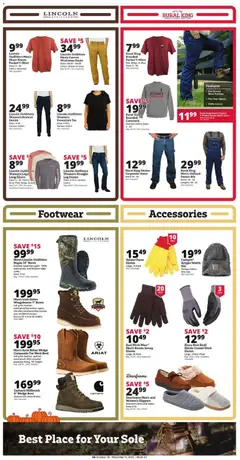 Ad Preview of Rural King Weekly Ad from 10/30/2025 | Page: 3
