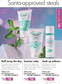 Preview of catalogue Nutrimetics Brochure Party season treats from shop Nutrimetics valid 26/11/2025 | Page: 11