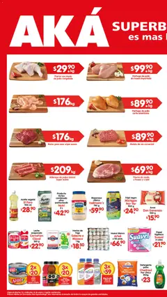 Vista previa las ofertas de la tienda Arteli - Folleto Aká Super Bodega desde el 13/01/2026 