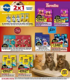 Vista previa del folleto de la tienda Coto válido desde el 17/11/2025 | Página: 24