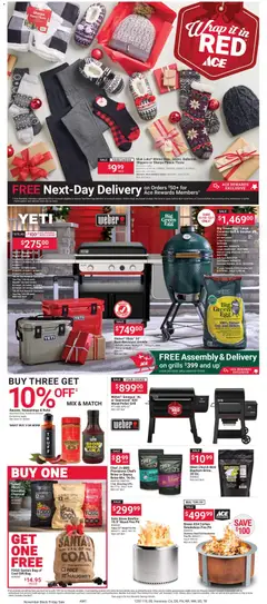 Ad Preview of ACE Hardware Black Friday from 11/01/2025 | Page: 5