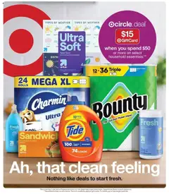 Vista previa las ofertas de la tienda Target - Folleto desde el 17/08/2025 
