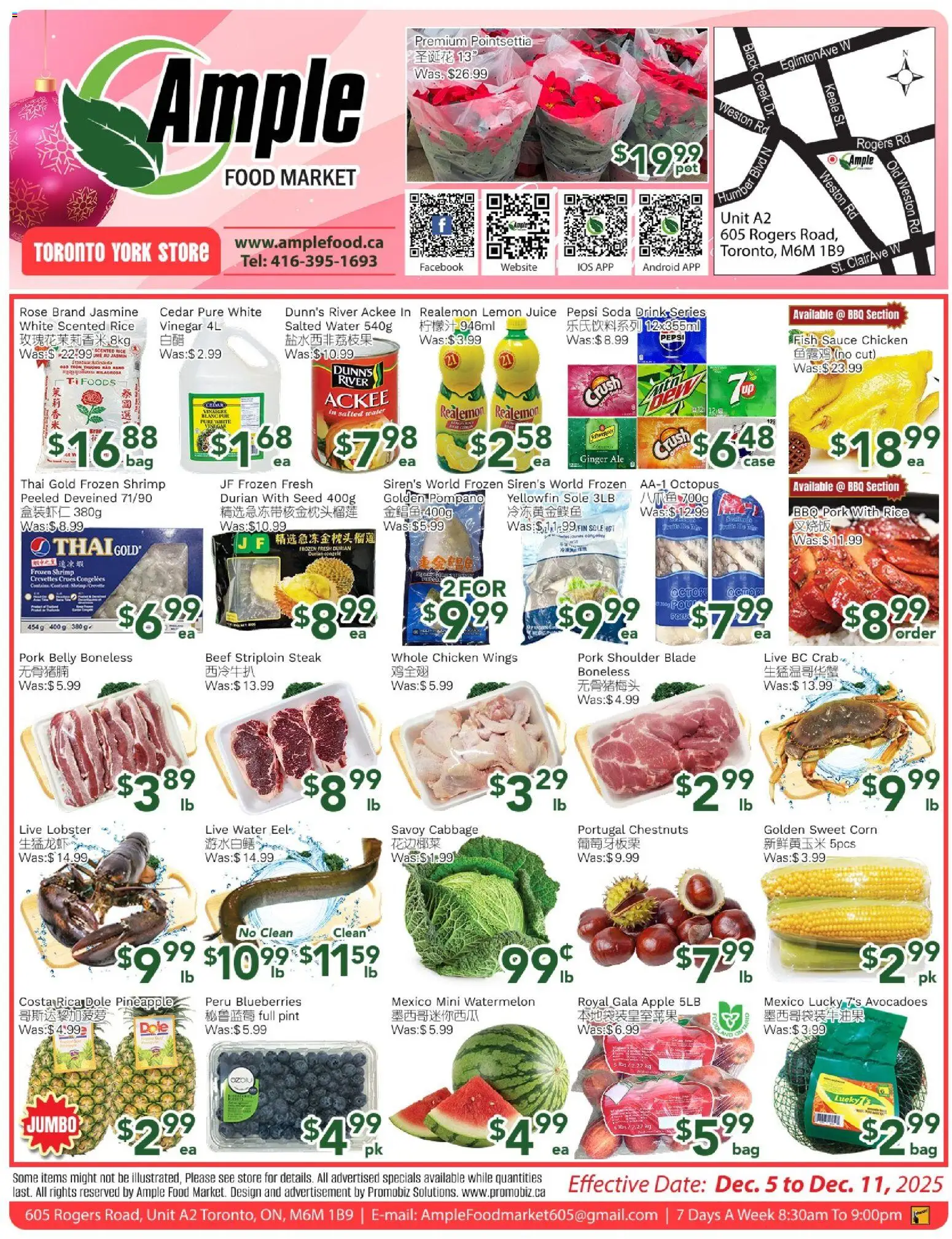 Preview of leaflet Weekly flyer Toronto York from shop Ample Food Market is valid from Dec 05, 2025 - Food, Bag, Pepsi, Ginger, Cabbage, Vinegar, Lemon juice, Whole chicken