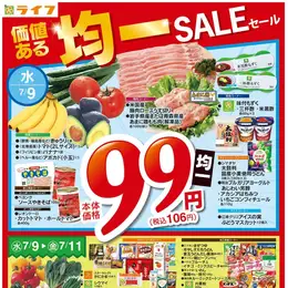 チラシ (2025/07/09 ~ 2025/07/11)