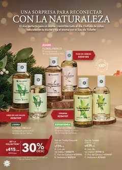 Vista previa las ofertas de la tienda Yves Rocher - Campaña 16 2025 desde el 19/11/2025 | Página: 24