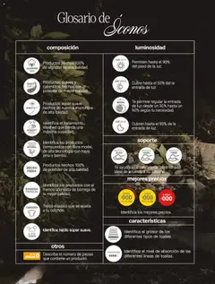 Vista previa las ofertas de la tienda Vianney - Catálogo Primavera desde el 07/03/2025 | Página: 266