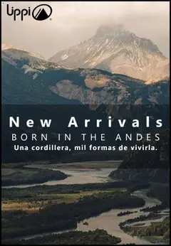 Folleto de la tienda Lippi válido desde el 20.10.2025 