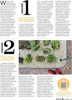 Preview of catalogue Bunnings Catalogue December from shop Bunnings Warehouse valid 01/12/2025 | Page: 45