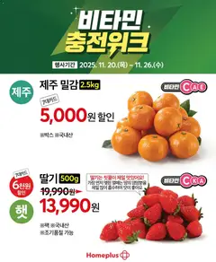 {StrartDate}까지 홈플러스 쇼핑몰에서 전단 현재 전단지 미리 보기