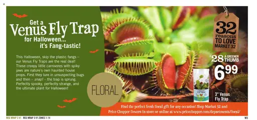 Ad Preview of Price Chopper Weekly Ad from 10/26/2025 | Page: 19