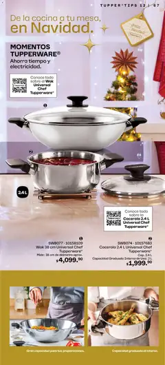 Vista previa las ofertas de la tienda Tupperware - Catálogo desde el 03/11/2025 | Página: 67
