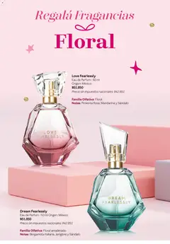 Vista previa del folleto de la tienda Mary Kay válido desde el 01/11/2025 | Página: 62