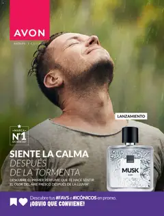 Vista previa de Ciclo 13 de la tienda Avon válido desde 11/08/2025