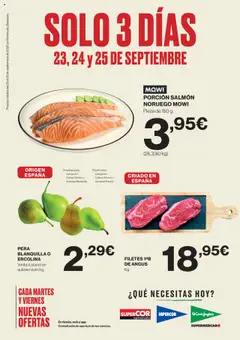 Vista previa las ofertas de la tienda El Corte Inglés - Catálogo desde el 23/09/2025 
