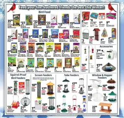 Ad Preview of Ocean State Job Lot Weekly Ad from 12/11/2025 | Page: 21