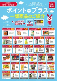 バローの2025/11/01から2026/01/04までのチラシはここチラシ