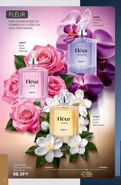 Pré-Visualização do folheto "Catálogo" da loja Jequiti válido a partir de 02/12/2025 | Página: 36