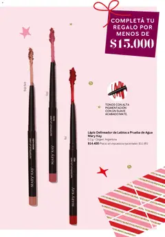 Vista previa del folleto de la tienda Mary Kay válido desde el 01/11/2025 | Página: 19