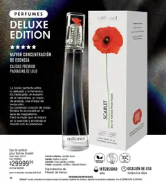 Vista previa del folleto de la tienda Millanel válido desde el 20/10/2025 | Página: 34