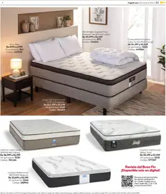 Vista previa las ofertas de la tienda Coppel - Buen Fin desde el 01/11/2025 | Página: 13