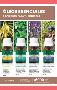 Vista previa del folleto de la tienda Gigot válido desde el 01/10/2025 | Página: 43