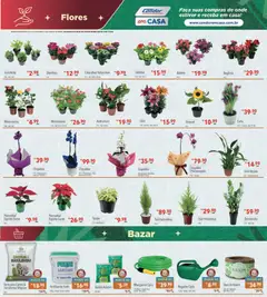 Pré-Visualização do folheto "Ofertas da semana" da loja Supermercados Condor válido a partir de 08/12/2025 | Página: 27