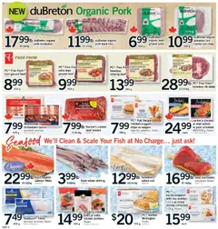 Un aperçu du dépliant Weekly flyer / circulaire du magasin Fortinos est valide à partir 20 nov. 2025 | Page: 5