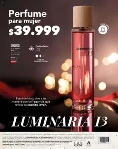  Vista previa del prospecto Campaña 17 / 2025 del almacen Pacifika válida del 25/09/2025 al 31/12/2025 | Página : 206