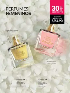 Vista previa de Ciclo 18 de la tienda Avon válido desde 15/11/2025 | Página: 91