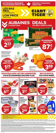 Un aperçu du dépliant Circulaire du magasin Giant Tiger est valide à partir 20 août 2025