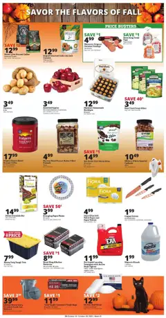 Ad Preview of Rural King Weekly Ad from 10/16/2025 | Page: 4